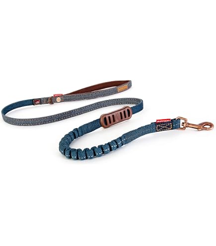 Amazon.co.jp: EzyDog Cujo 衝撃吸収バンジードッグリード - 最高の犬